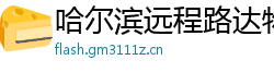 哈尔滨远程路达物流公司